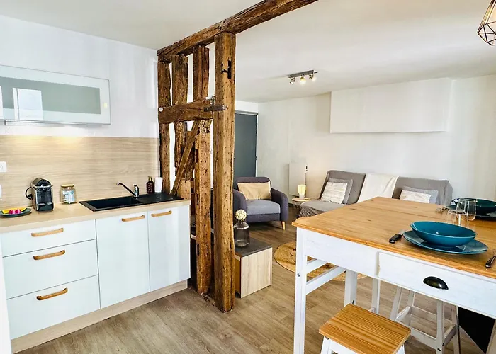 La Pause Champenoise - - Wifi & Washing Machine * Troyes